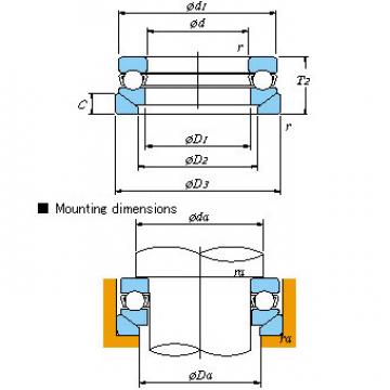 All kinds of faous brand Bearings and block Single direction &#8211; With aligning seat washer 53317U