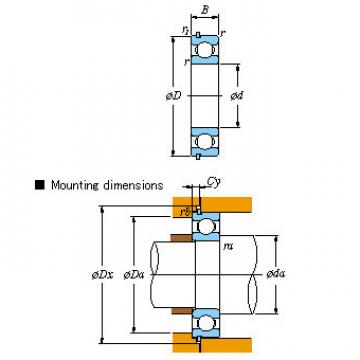 All kinds of faous brand Bearings and block Single-row &#8211; Locating snap ring 6319NR