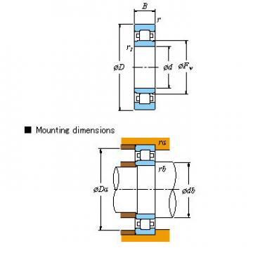 Single-row SKF,NSK,NTN,Timken &#8211; NU NU421