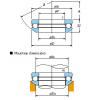 Single SKF,NSK,NTN,Timken direction &#8211; With spherical back face 53310