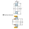 Extra-small, miniature ball bearings &#8211; Flanged type &#8211; Open MLF8012 NSK Country of Japan