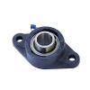 MSFT1-1/2 High quality mechanical spare parts 1-1/2&quot; Bore NSK RHP 2 Bolt Hole Flange Bearing