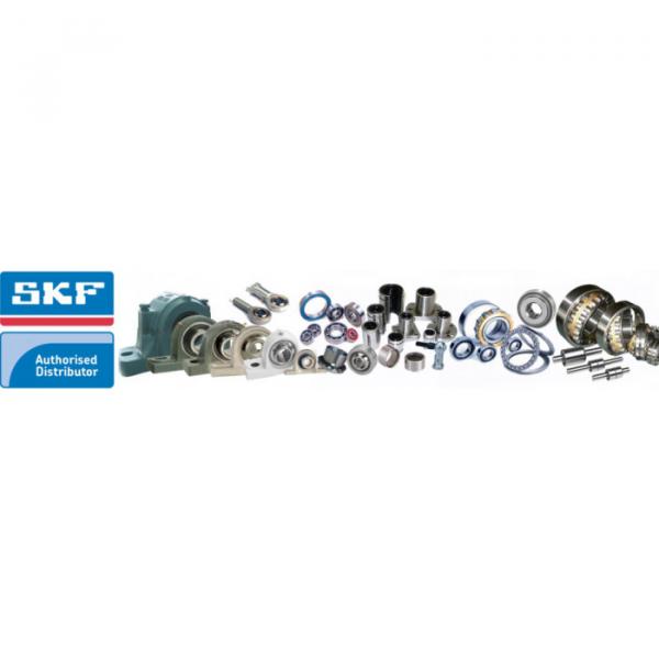 All kinds of faous brand Bearings and block SKF D/W RW1-5-2Z #1 image