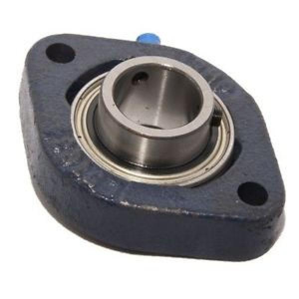 LFTC1/2EC Original and high quality 1/2&quot; Bore NSK RHP Cast Iron Flange Bearing #1 image