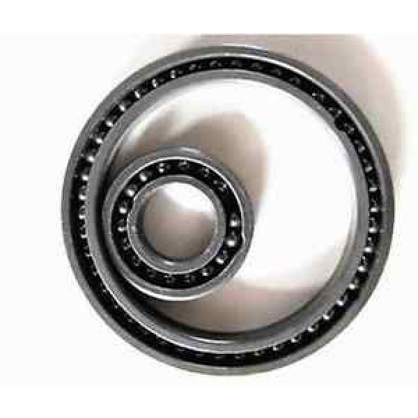 6004 SKF,NSK,NTN,Timken Full Ball Ceramic Bearing SI3N4 Ball Bearing 20x42x12mm Silicon Nitride #1 image