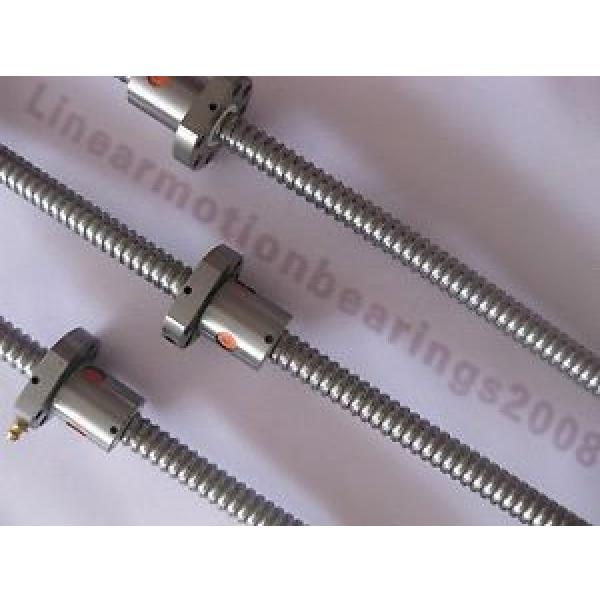 Original famous 3 anti backlash ballscrew RM1605-250/650/1000mm-C7 cnc #1 image